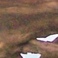 JPEG - 373.1 ko